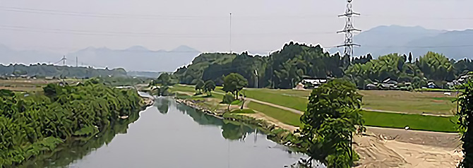 球磨川河川堤防錦町の植物マルチ吹付工2ヵ月目の5月