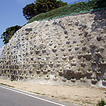 グリーンポケット工法