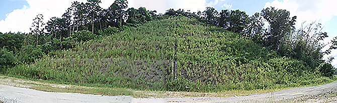 環境誘導吹付工（無播種型）