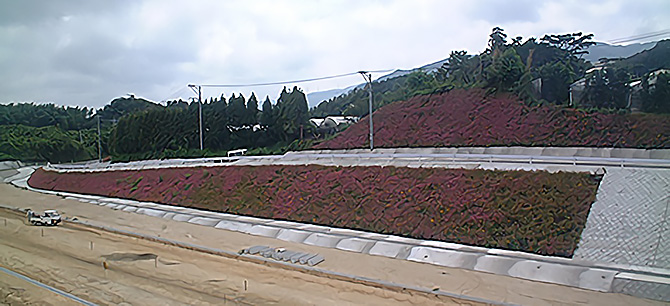 平成17年6施行　発注者：国土交通省九州地方整備局佐賀国道事務所