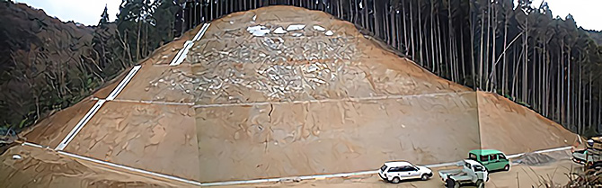 環境誘導吹付工（在来種による樹林化型）