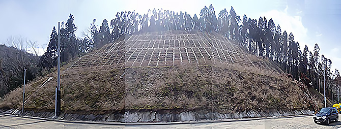 2年経過の越冬期